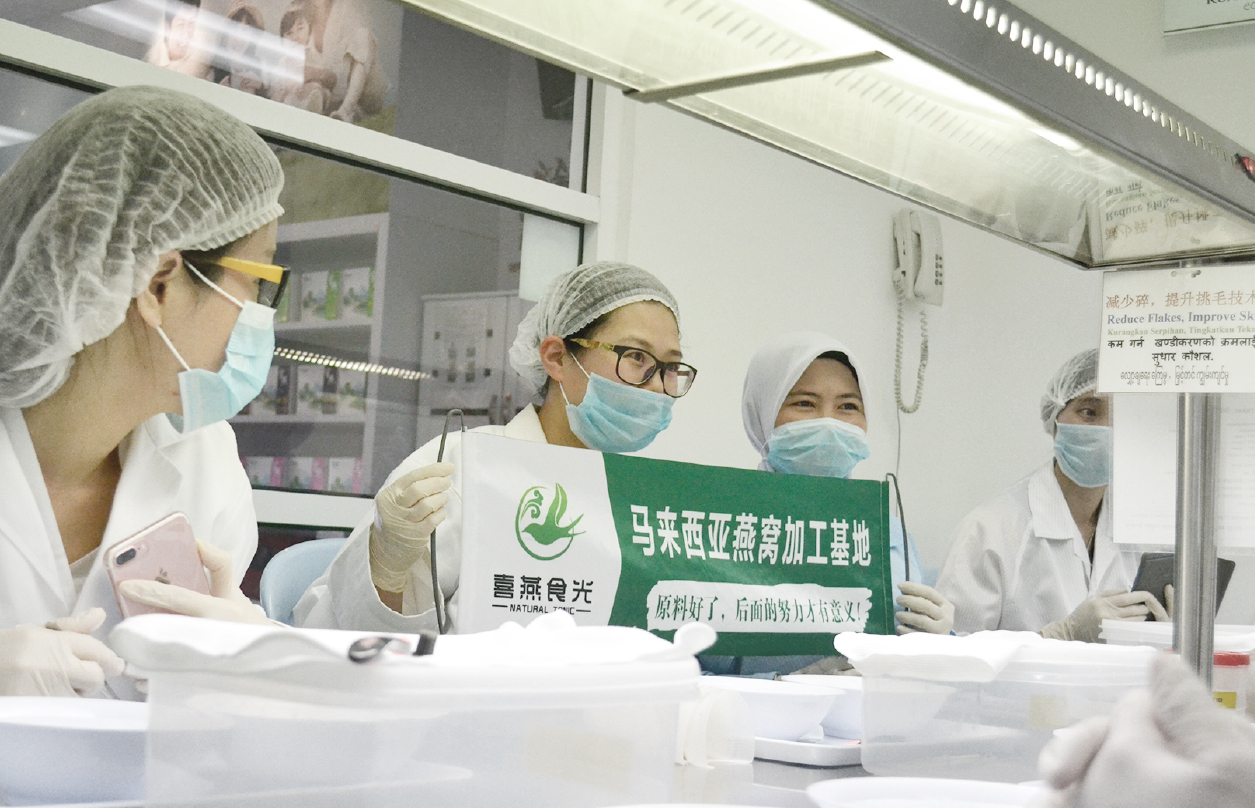 Study Centre Panel C