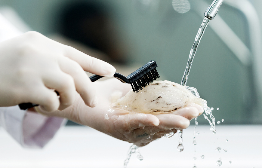 Hearty Procedure panel A