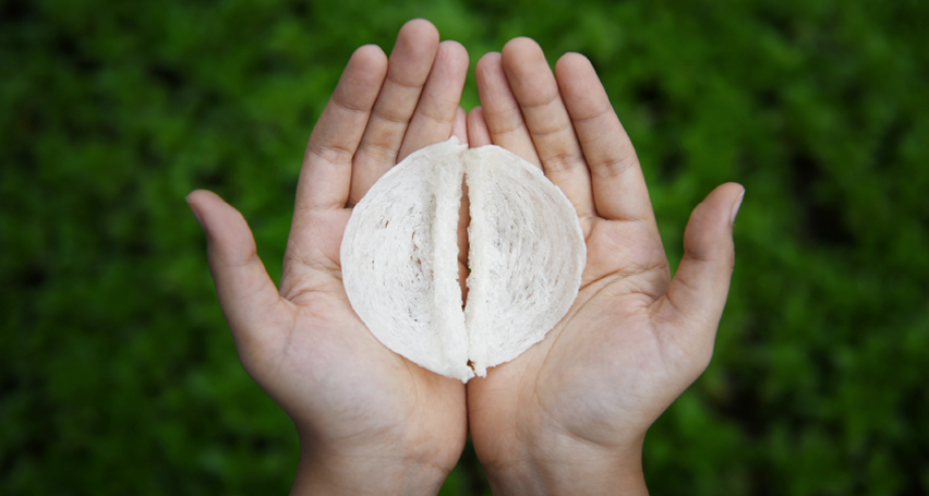 Kuan Wellness Panel B