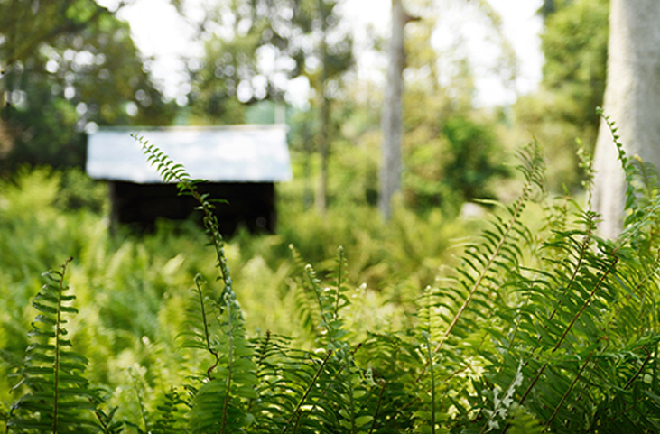 Kuan Wellness Panel B